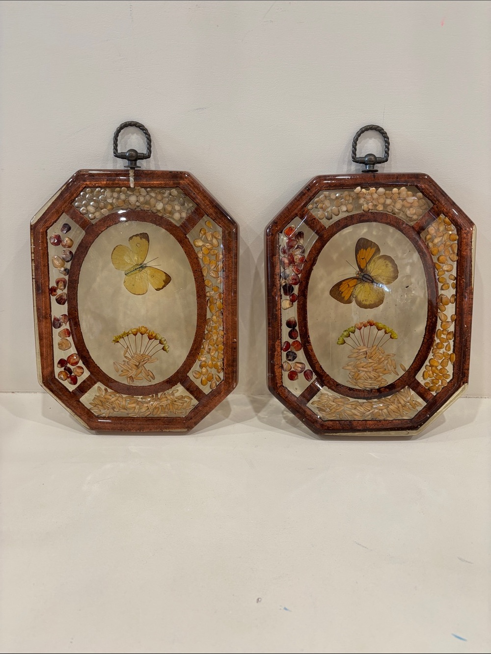 Vintage 1970s Butterfly Wall Plaques in Brown Frame